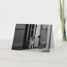 Cartão de Saudação de Cachorro Sortudo Personalizá