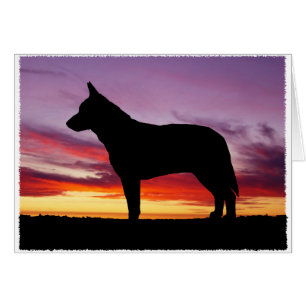 Cartão de Saudação de Cães de Bovinos Australiano
