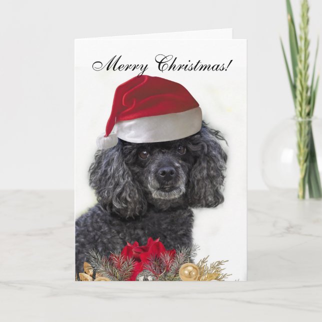 Cartão de Saudação de Cão de Poodle Feliz Natal (Frente)