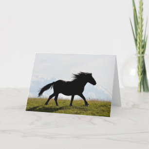 Cartão de Saudação de Cavalo