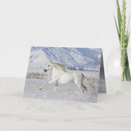 Cartão de Saudação de Cavalo de Neve Branca