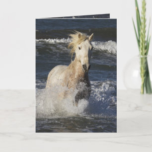 Cartão de Saudação de Cavalo do Mar