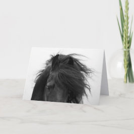 Cartão de Saudação de Cavalo Frísia