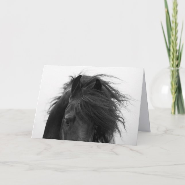 Cartão de Saudação de Cavalo Frísia (Frente)