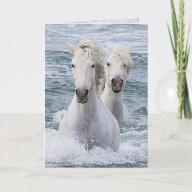 Cartão de Saudação de Cavalo - Gêmeos de Cavalos d (Frente)