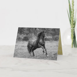 Cartão de Saudação de Cavalo - Leis de Leite