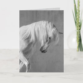 Cartão de Saudação de Cavalo - O Estalão Branco Ol