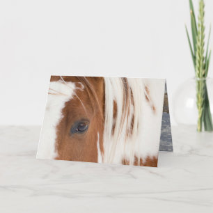 Cartão de Saudação de Cavalo-Olho do Chefe