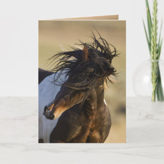 Cartão de Saudação de Cavalo Selvagem