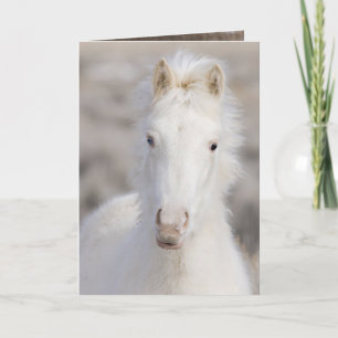 Cartão de Saudação de Cavalo Selvagem de Neve