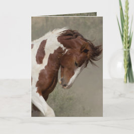 Cartão de Saudação de Cavalo Selvagem de Retrato d
