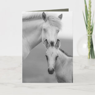 Cartão de Saudação de Cavalo Selvagem dos Irmãos