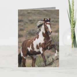 Cartão de Saudação de Cavalo Selvagem - Picasso Ex