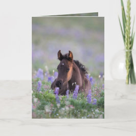 Cartão de Saudação de Cavalo Selvagem - Preto na L
