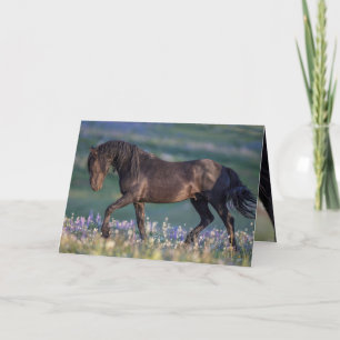 Cartão de Saudação de Cavalo Selvagem - Trotes 