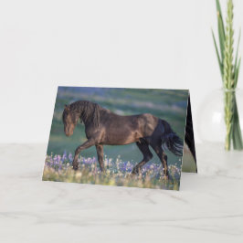 Cartão de Saudação de Cavalo Selvagem - Trotes de 