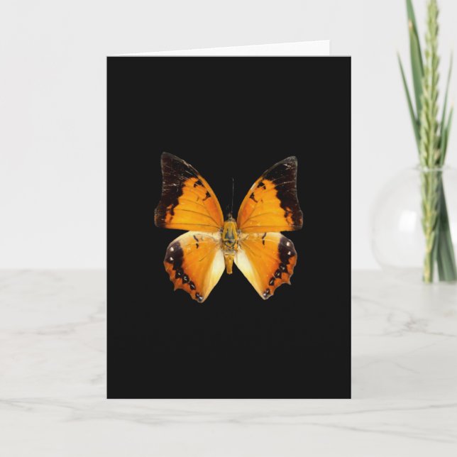 Cartão de Saudação de Charaxes Bordado Negro (Frente)