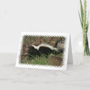 Cartão de Saudação de Comportamento do Skunk