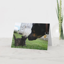 Cartão de saudação de encorajamento a cães e gatos
