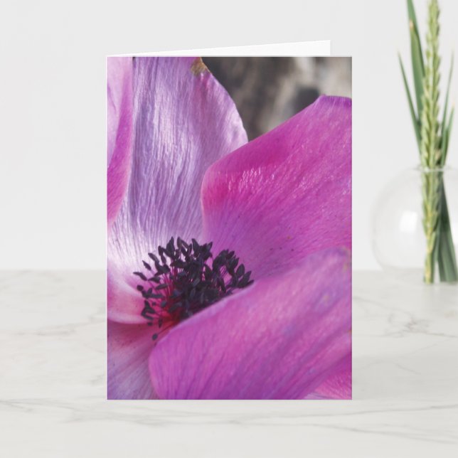 Cartão de Saudação de Fechamento Anemone (Frente)