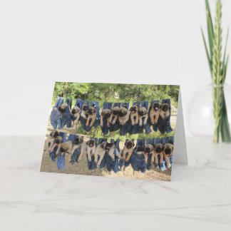 Cartão de saudação de filhotes mastiff
