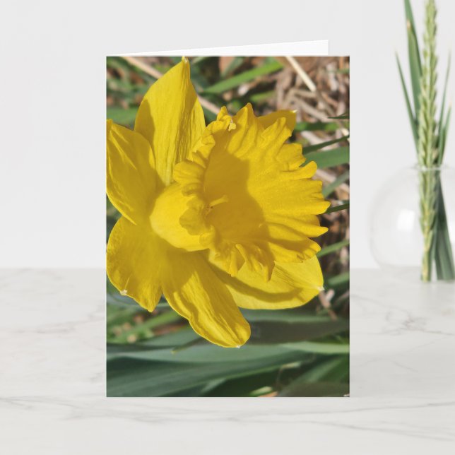 Cartão de saudação de flor amarela (Frente)