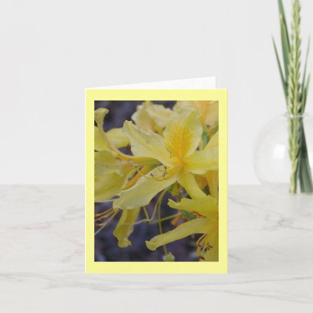 Cartão de saudação de flor Amarelo Azalea (Frente)