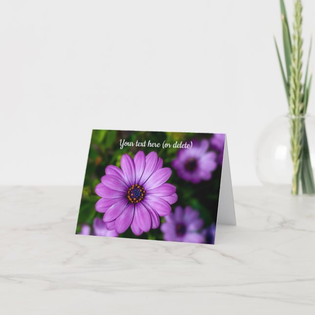 Cartão de saudação de flor Daisy Roxa (Frente)
