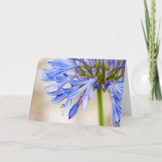 Cartão de Saudação de Flor de Amor