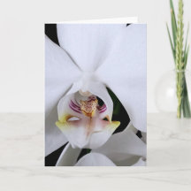 Cartão de saudação de flor de orquídea branca