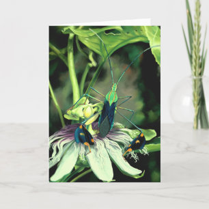 Cartão de Saudação de Flor de Paixão