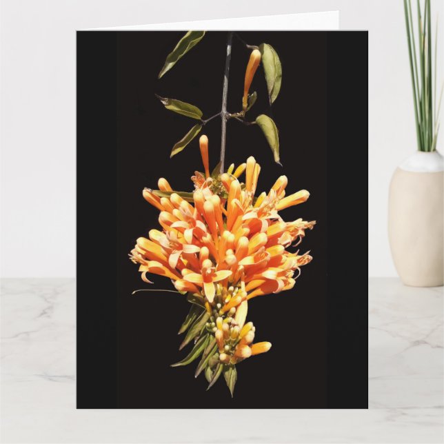 Cartão de saudação de Flor Dobrado (Frente)