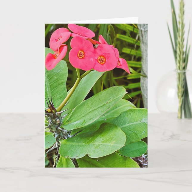 Cartão de saudação de flor rosa (Frente)