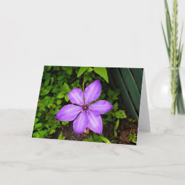 Cartão de saudação de flor roxa