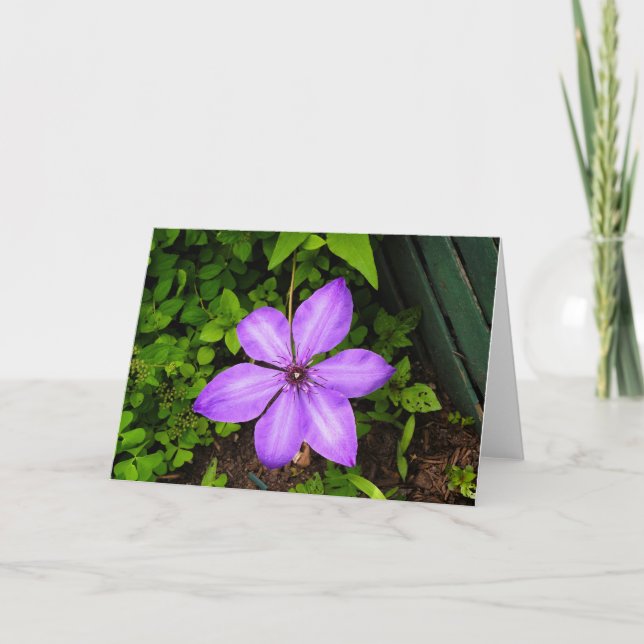 Cartão de saudação de flor roxa (Frente)