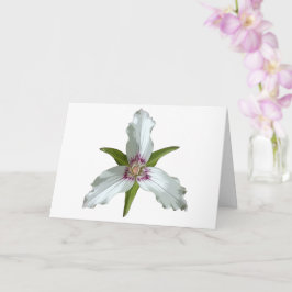 Cartão de Saudação de Flor Selvagem de Trilium Pri