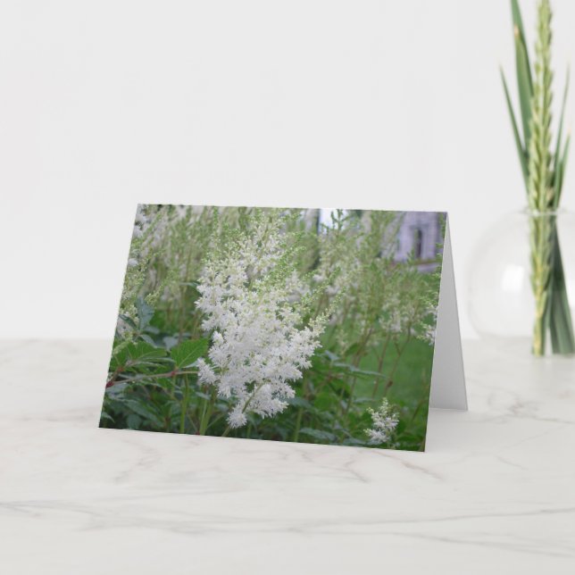 Cartão de saudação de flores brancas (Frente)