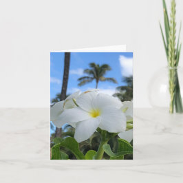 Cartão de Saudação de Flores Brancas Havaianas