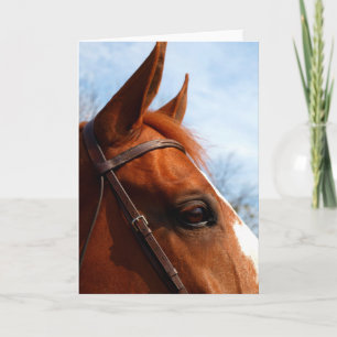 Cartão de Saudação de Foto da Cabeça do Cavalo