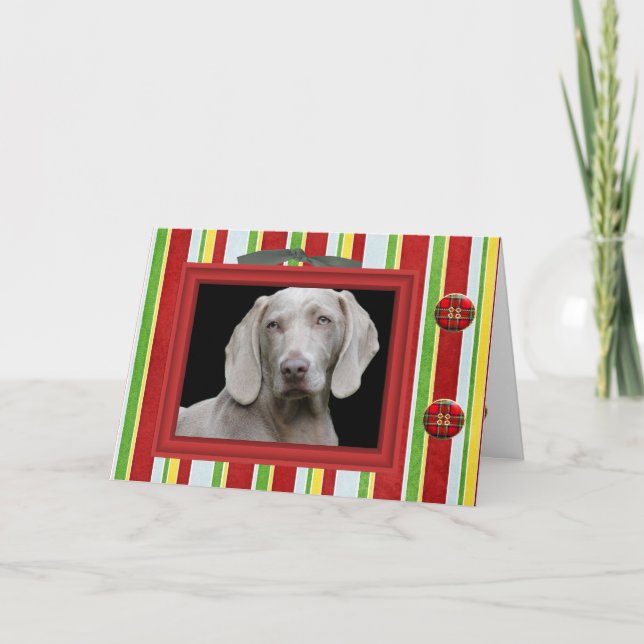 Cartão de Saudação de Foto de Natal Tirado Moderno (Frente)