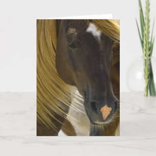 Cartão de Saudação de Foto do Cavalo Mustang