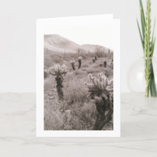 Cartão de Saudação de Foto do Deserto de Cholla Ca