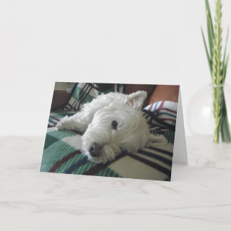 Cartão de Saudação de Foto do Sofa Westie