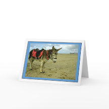 Cartão de Saudação de Foto Donkey