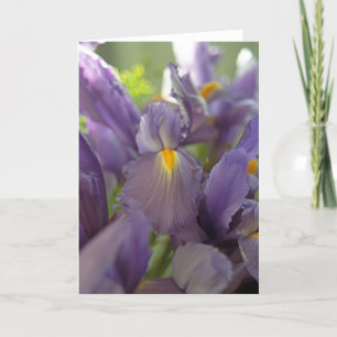 Cartão de Saudação de Foto Roxo Iriss