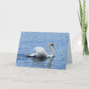Cartão de Saudação de Foto Swan Graceful