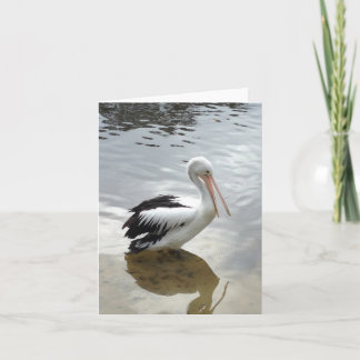 Cartão de saudação de fotografia pelicano para qua