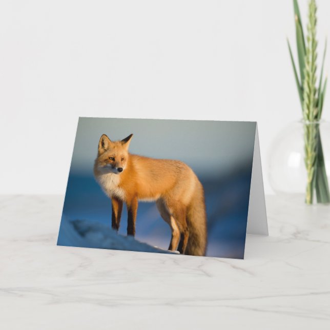 Cartão de Saudação de Fox Castanho (Frente)