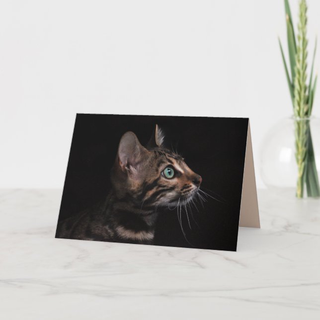 cartão de saudação de gatinho (Frente)