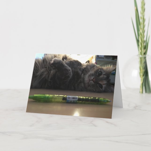 cartão de saudação de gatinho nº 2 (Frente)